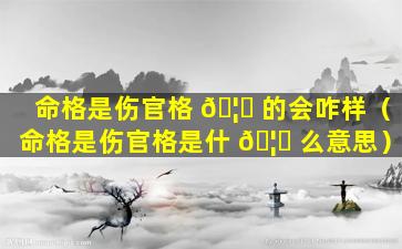 命格是伤官格 🦍 的会咋样（命格是伤官格是什 🦉 么意思）